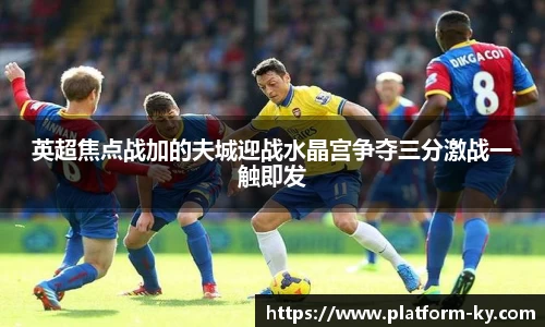 英超焦点战加的夫城迎战水晶宫争夺三分激战一触即发